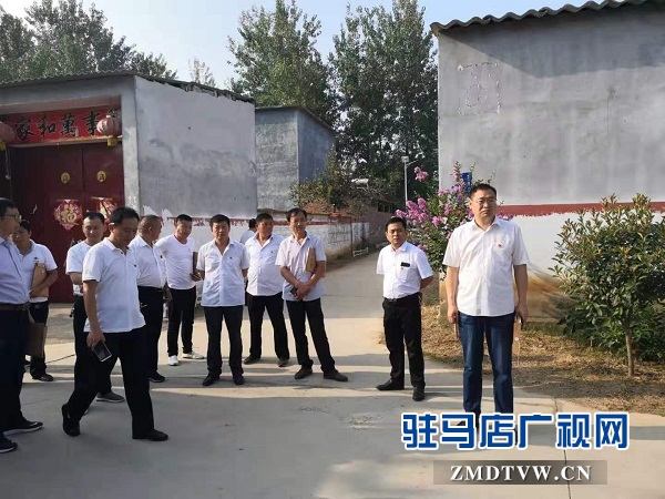 三桥镇：逐村观摩找差距  整镇推进求实效 