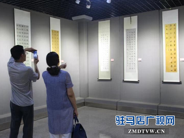 驻马店市青年书法作品展开幕  50余件书法作品展出