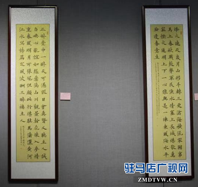驻马店市青年书法作品展开幕  50余件书法作品展出