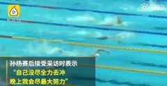孙杨晋级800米自由泳决赛 霍顿出局