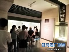 酷热暑期 市博物馆游客盈门