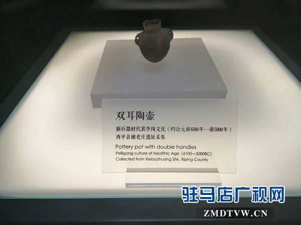 酷热暑期 市博物馆游客盈门