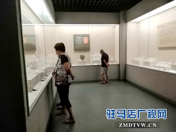 酷热暑期 市博物馆游客盈门