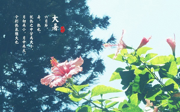 今日大暑，我在等风，也在等你