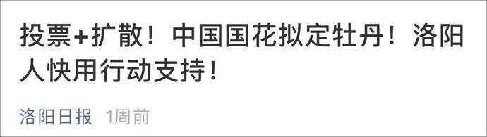 微信图片_20190724084142.jpg