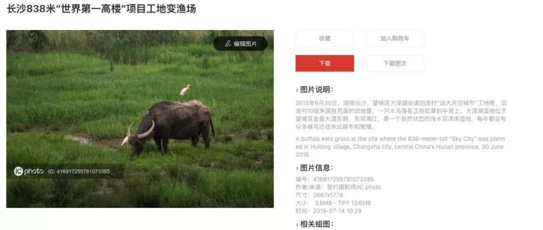 微信图片_20190724162953.jpg