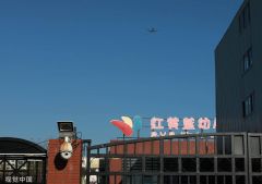 红黄蓝回应外教猥亵女童被捕：幼儿园陪同家长共同报警