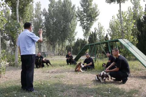微信图片_20190726084959.jpg