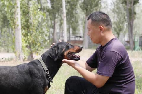 微信图片_20190726084957.jpg