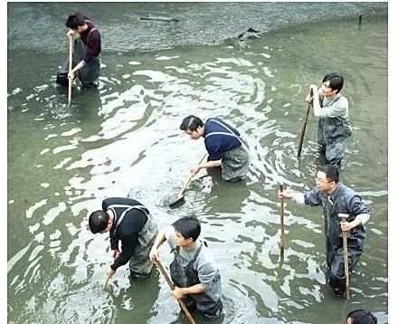 微信图片_20190729085511.jpg