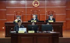 “被移出群起诉群主”被驳回 法院：群成员自主自治