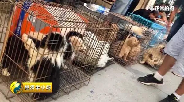 微信图片_20190730112013.jpg