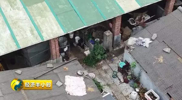 微信图片_20190730112025.jpg