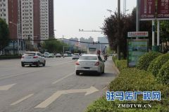 乐山大道慎阳路口公交站牌设置不合理 市民出行存隐患