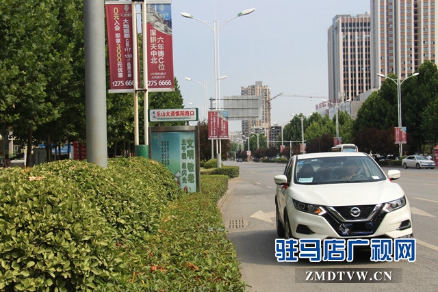 乐山大道慎阳路口公交站牌设置不合理    市民出行存隐患