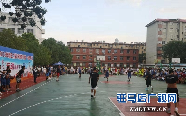 明日之星体育暑期训练营汇报表演激情四射
