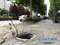 乐山大道慎阳路口人行道井盖缺失成“陷阱”