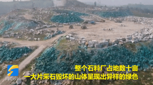微信图片_20190731165025.gif
