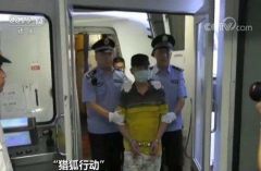 走私“洋垃圾”外逃，猎狐行动又抓回来俩！