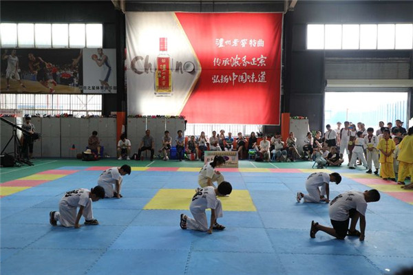 驻马店易轩财务管理有限公司助力2019中原杯跆拳道冠军挑战赛圆满举行