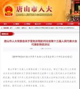 河北省十三届人大代表孙翔确定为双重国籍 代表职务被免