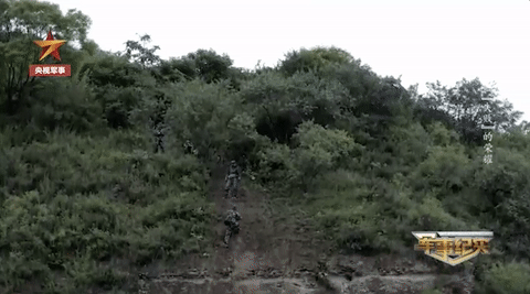 2082041565135644.gif
