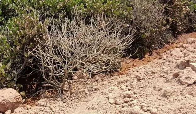 1565336849709771.jpg 微信图片_20190809154512.jpg