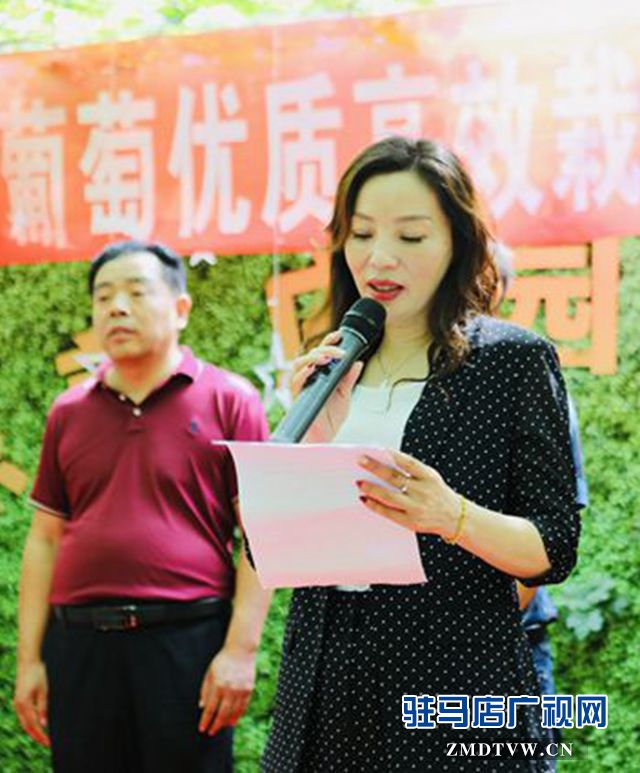 葡萄熟了！驻马店杰美葡萄庄园盛大开园