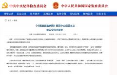 胆大妄为！《中国廉政监察网》假冒中央纪委名义被查