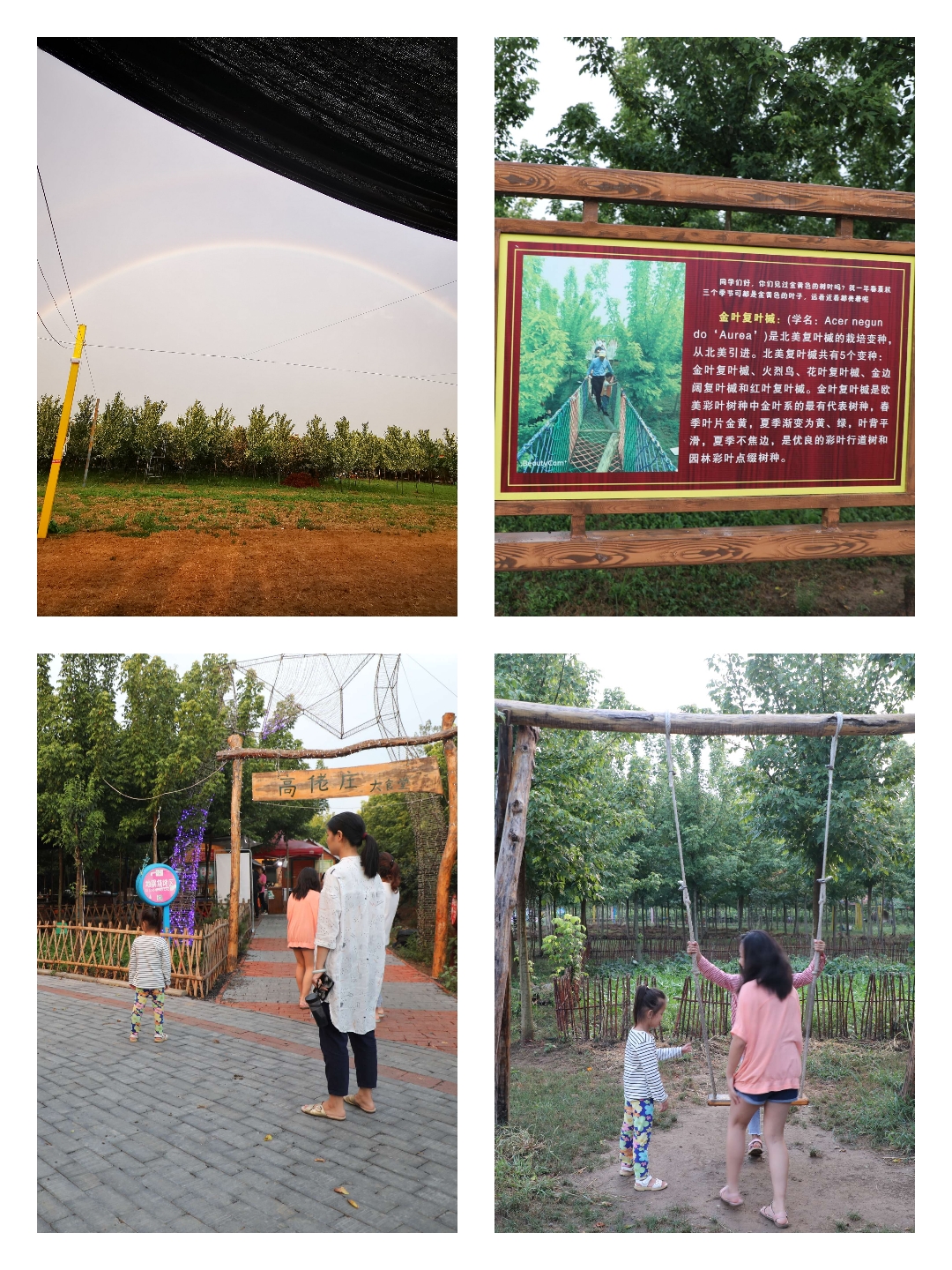 世外桃源研学处 花木成荫入画来 世外桃源家庭农场为你带来惬意生活体验