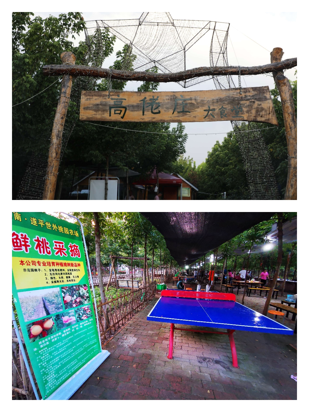世外桃源研学处 花木成荫入画来 世外桃源家庭农场为你带来惬意生活体验
