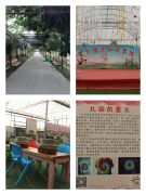 世外桃源研学处 花木成荫入画来 世外桃源家庭农场为你带来惬意生活体验