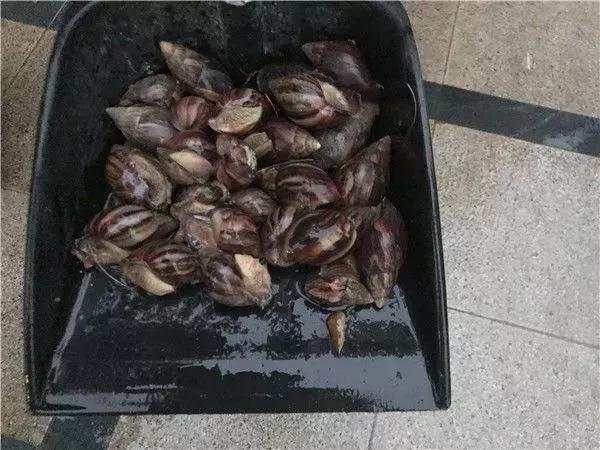 微信图片_20190813090542.jpg