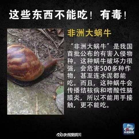 微信图片_20190813090539.jpg
