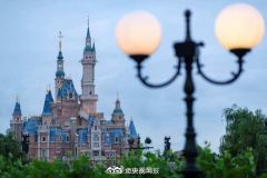 中消协发声了：支持对上海迪士尼“搜包”的诉讼