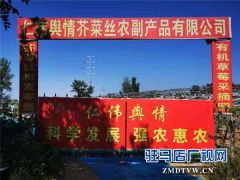 平舆县仁伟舆情手工芥菜丝 舌尖上一道不可或缺的美味