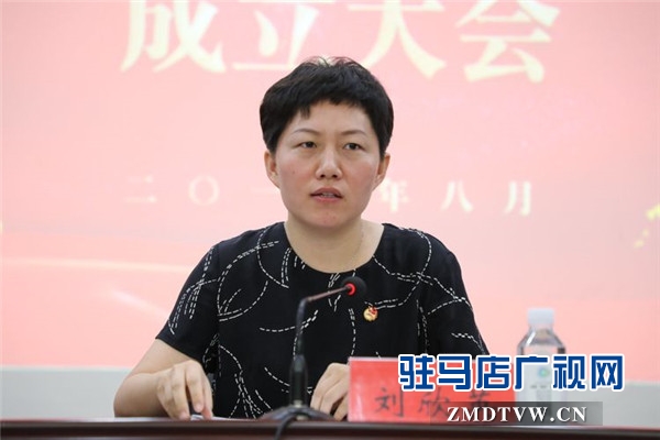共青团驻马店市企业家协会工作委员会成立 协会共青团与青年工作正式拉开了帷幕