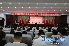 共青团驻马店市企业家协会工作委员会成立 协会共青团与青年工作正式拉开了帷幕