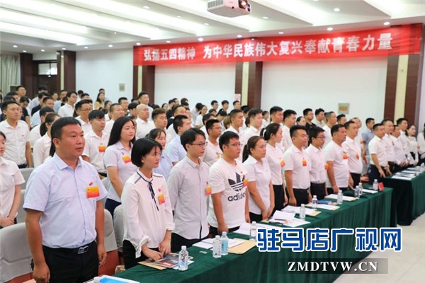 共青团驻马店市企业家协会工作委员会成立 协会共青团与青年工作正式拉开了帷幕