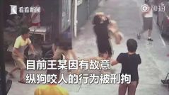 狗主人遛狗不栓绳还故意纵狗咬人，已被刑拘