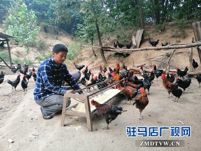 昔日穷得叮当响 今日脱贫当标兵