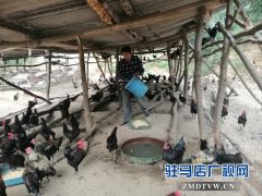 昔日穷得叮当响 今日脱贫当标兵