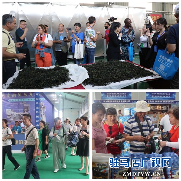 2019年平舆白芝麻产业大会与会人员赴蓝天芝麻小镇参观考察后纷纷为小镇点赞