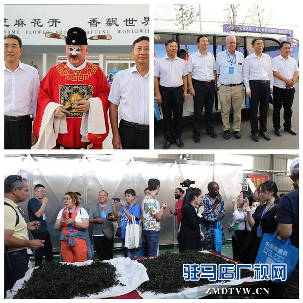 2019年平舆白芝麻产业大会与会人员赴蓝天芝麻小镇参观考察后纷纷为小镇点赞