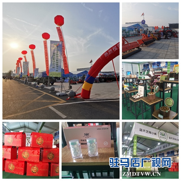 2019年平舆白芝麻产业大会与会人员赴蓝天芝麻小镇参观考察后纷纷为小镇点赞