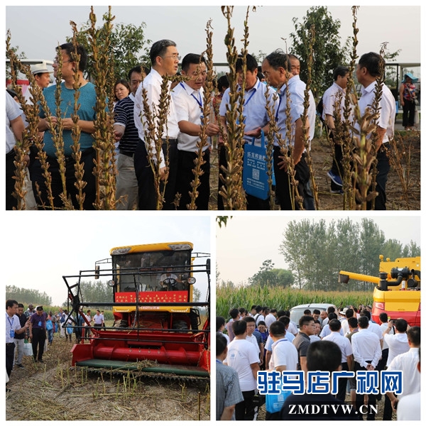 2019年平舆白芝麻产业大会与会人员赴蓝天芝麻小镇参观考察后纷纷为小镇点赞