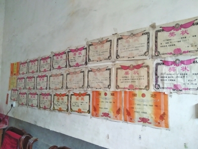 p30_b.jpg