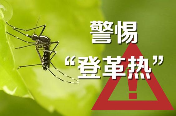 登革热发病进入高发季，前8个月河南报告100多例