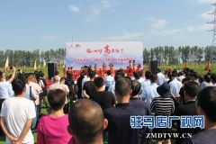 河南蔡洪坊酒：坚守“粮心”让中国白酒的质量看得见
