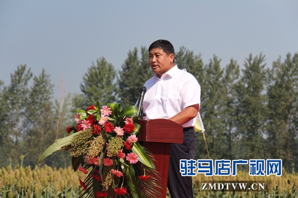 河南蔡洪坊酒：坚守“粮心”让中国白酒的质量看得见